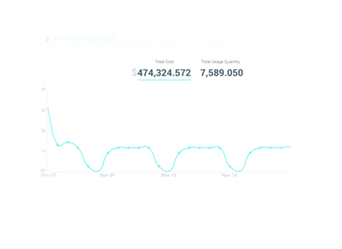 Fully Customized Reports